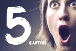 А знаете ли Вы? 5 фактов о компании тамм'антимебель